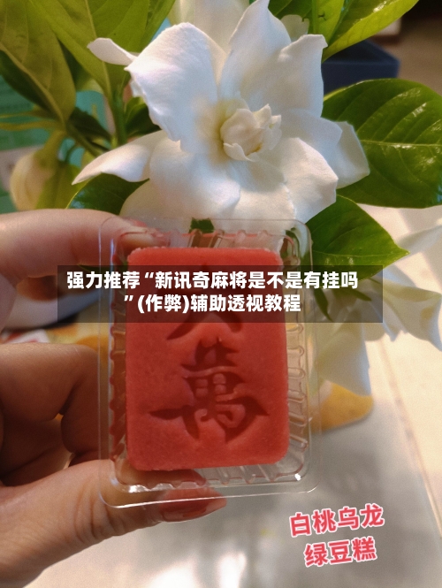 强力推荐“新讯奇麻将是不是有挂吗”(作弊)辅助透视教程
