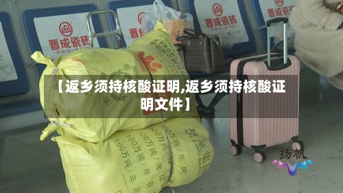 【返乡须持核酸证明,返乡须持核酸证明文件】