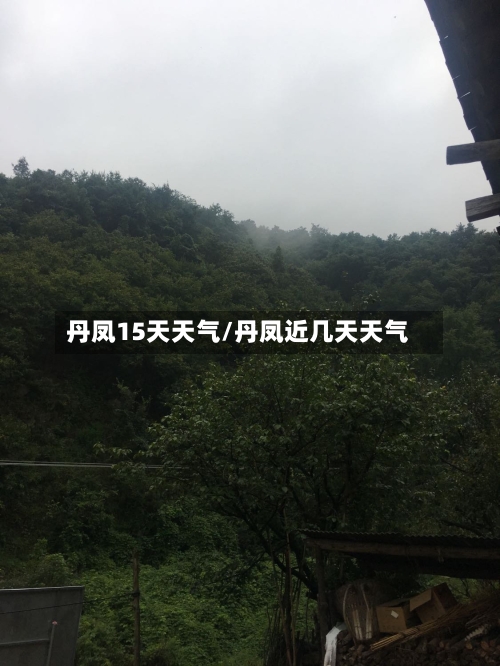 丹凤15天天气/丹凤近几天天气