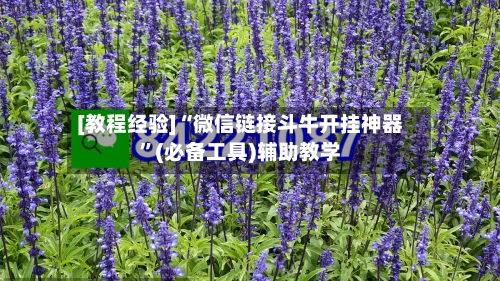 [教程经验]“微信链接斗牛开挂神器”(必备工具)辅助教学