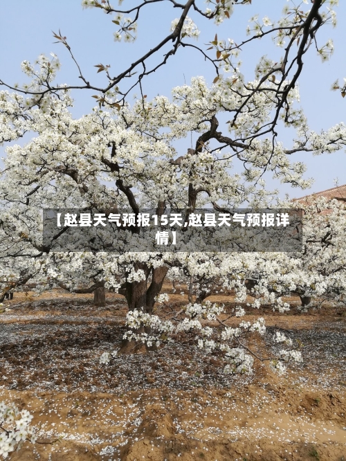 【赵县天气预报15天,赵县天气预报详情】