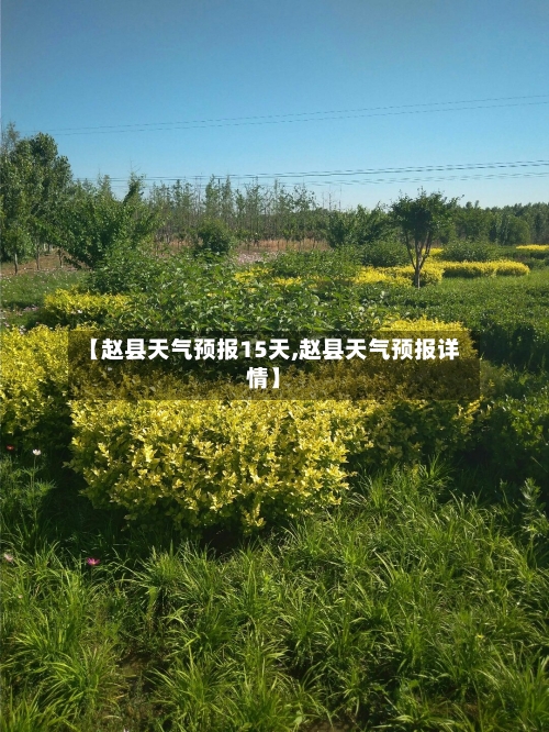 【赵县天气预报15天,赵县天气预报详情】