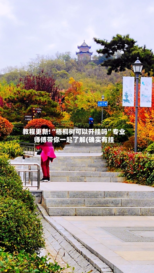 教程更新!“梧桐树可以开挂吗”专业师傅带你一起了解(确实有挂