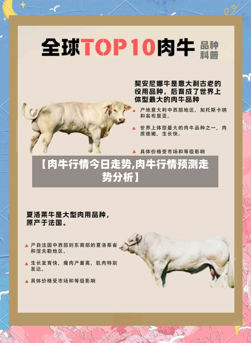【肉牛行情今日走势,肉牛行情预测走势分析】