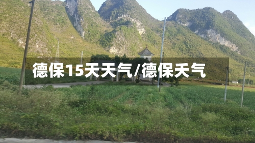德保15天天气/德保夭气