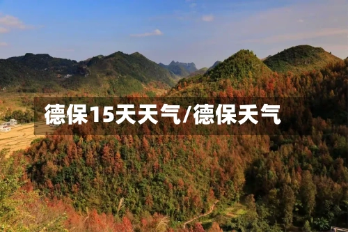 德保15天天气/德保夭气