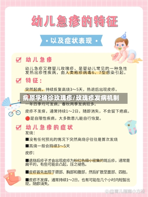 病原学确诊玫瑰疹/玫瑰疹发病机制