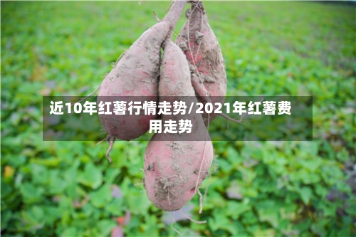近10年红薯行情走势/2021年红薯费用走势