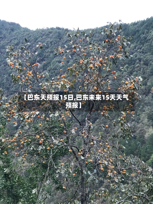 【巴东天预报15日,巴东未来15天天气预报】