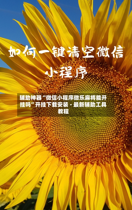 辅助神器“微信小程序微乐麻将能开挂吗”开挂下载安装 - 最新辅助工具教程
