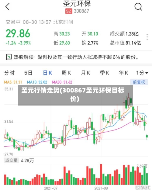 圣元行情走势(300867圣元环保目标价)