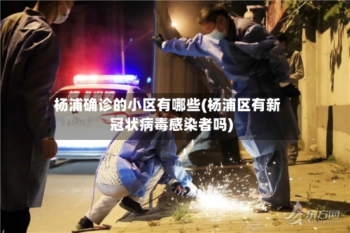 杨浦确诊的小区有哪些(杨浦区有新冠状病毒感染者吗)