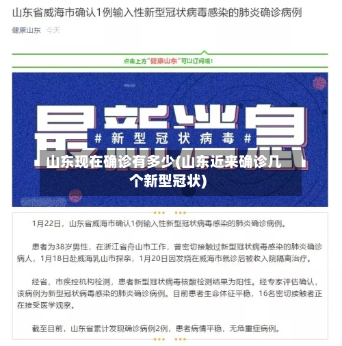 山东现在确诊有多少(山东近来确诊几个新型冠状)
