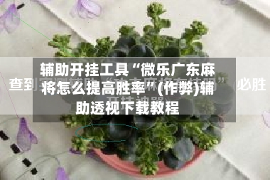 辅助开挂工具“微乐广东麻将怎么提高胜率”(作弊)辅助透视下载教程
