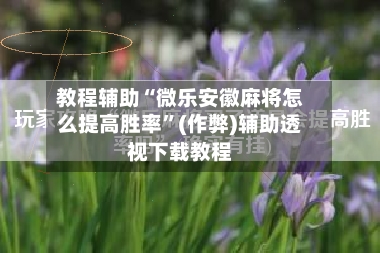 教程辅助“微乐安徽麻将怎么提高胜率”(作弊)辅助透视下载教程