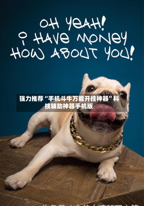 强力推荐“手机斗牛万能开挂神器”科技辅助神器手机版