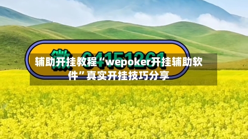 辅助开挂教程“wepoker开挂辅助软件”真实开挂技巧分享