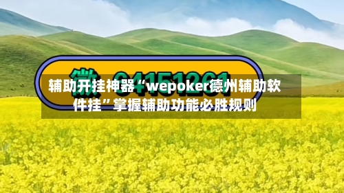 辅助开挂神器“wepoker德州辅助软件挂”掌握辅助功能必胜规则