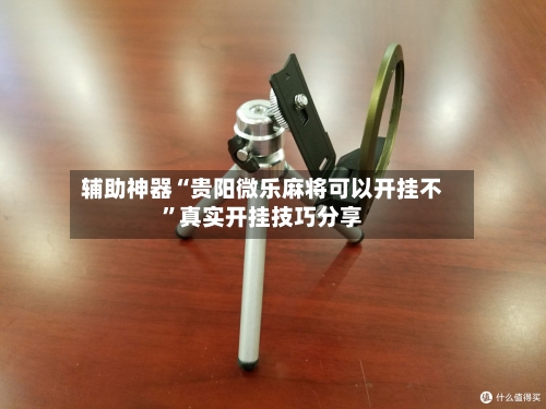 辅助神器“贵阳微乐麻将可以开挂不”真实开挂技巧分享