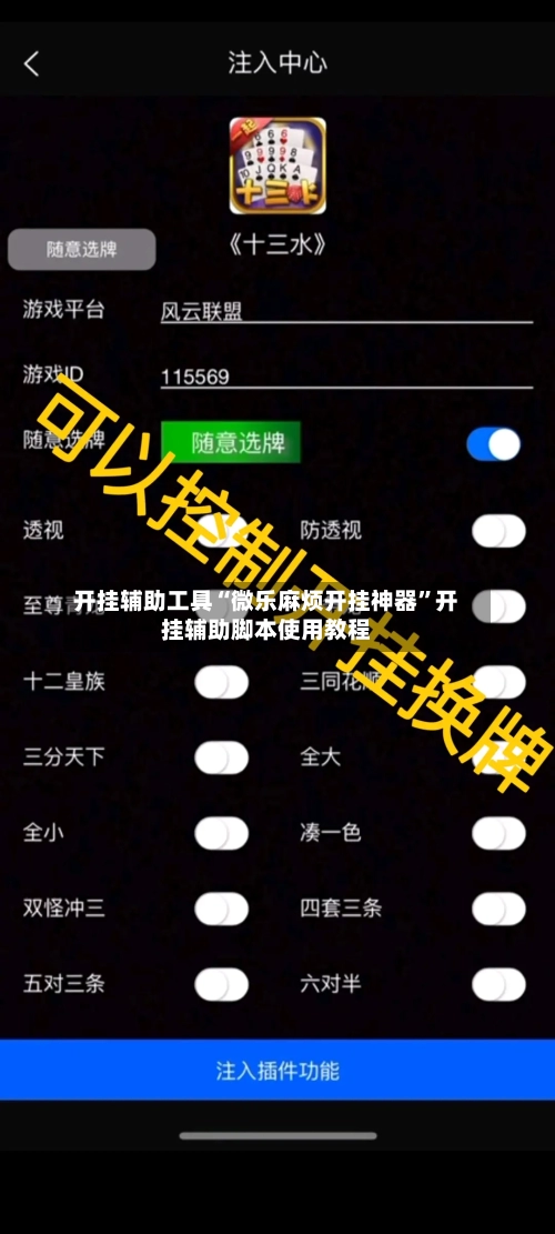 开挂辅助工具“微乐麻烦开挂神器”开挂辅助脚本使用教程