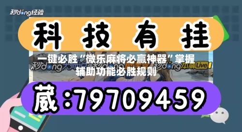 一键必胜“微乐麻将必赢神器”掌握辅助功能必胜规则