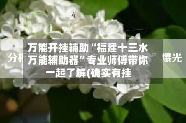 万能开挂辅助“福建十三水万能辅助器”专业师傅带你一起了解(确实有挂