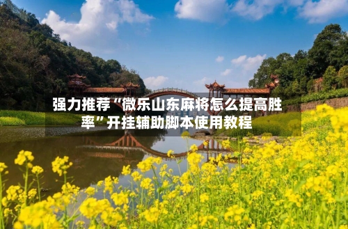 强力推荐“微乐山东麻将怎么提高胜率”开挂辅助脚本使用教程