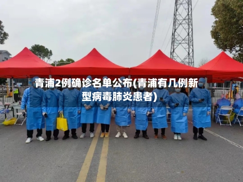 青浦2例确诊名单公布(青浦有几例新型病毒肺炎患者)