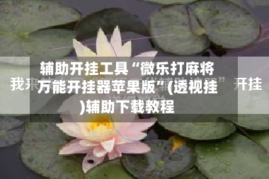 辅助开挂工具“微乐打麻将万能开挂器苹果版”(透视挂)辅助下载教程