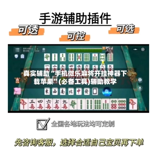 真实辅助“手机微乐麻将开挂神器下载苹果”(必备工具)辅助教学