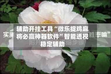 辅助开挂工具“微乐捉鸡麻将必赢神器软件”智能透视稳定辅助
