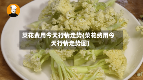菜花费用今天行情走势(菜花费用今天行情走势图)