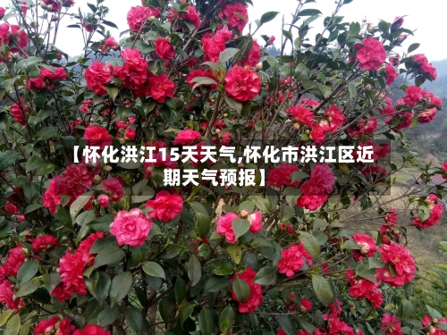 【怀化洪江15天天气,怀化市洪江区近期天气预报】