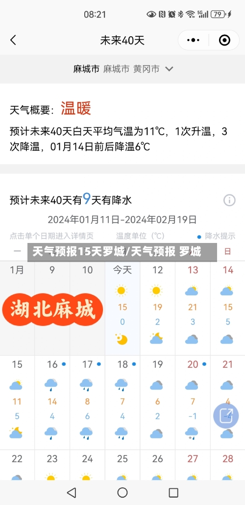 天气预报15天罗城/天气预报 罗城