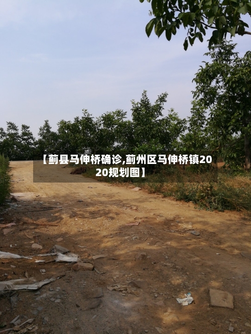 【蓟县马伸桥确诊,蓟州区马伸桥镇2020规划图】