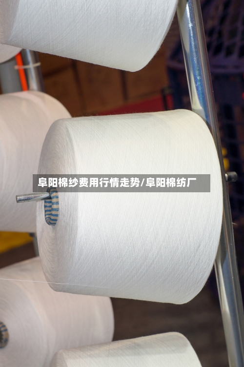 阜阳棉纱费用行情走势/阜阳棉纺厂