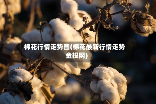 棉花行情走势图(棉花最新行情走势金投网)