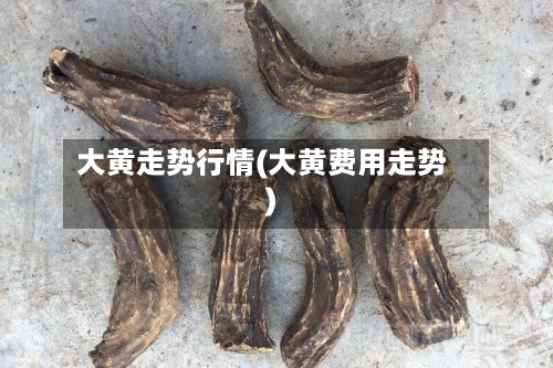 大黄走势行情(大黄费用走势)