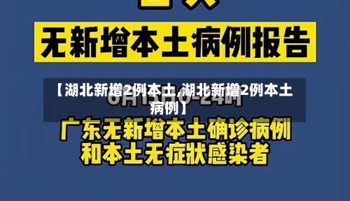【湖北新增2例本土,湖北新增2例本土病例】
