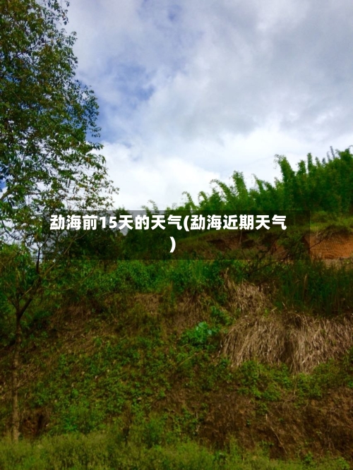 勐海前15天的天气(勐海近期天气)
