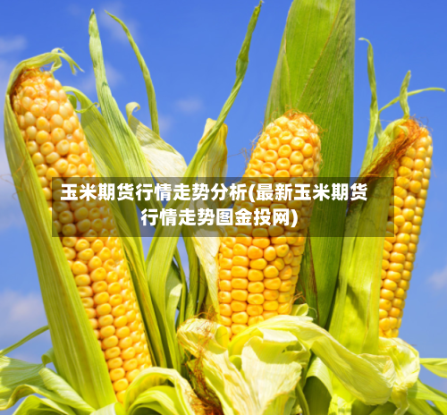 玉米期货行情走势分析(最新玉米期货行情走势图金投网)