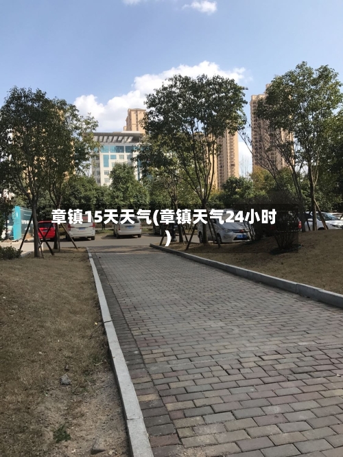 章镇15天天气(章镇天气24小时)