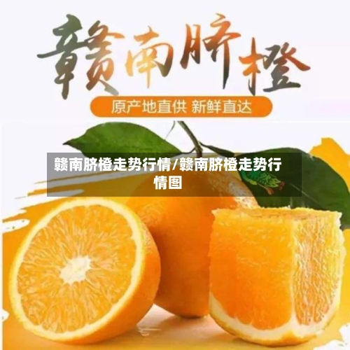 赣南脐橙走势行情/赣南脐橙走势行情图
