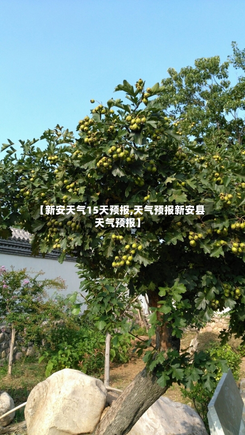 【新安天气15天预报,天气预报新安县天气预报】