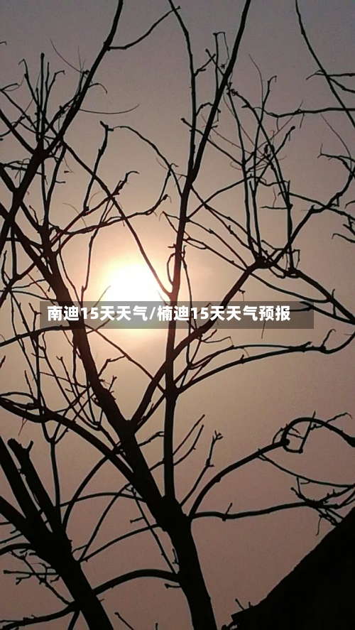 南迪15天天气/楠迪15天天气预报