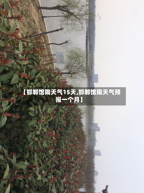 【邯郸馆陶天气15天,邯郸馆陶天气预报一个月】