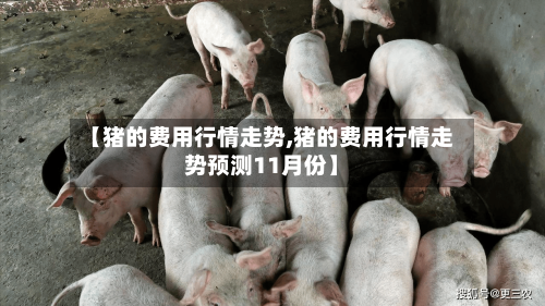 【猪的费用行情走势,猪的费用行情走势预测11月份】