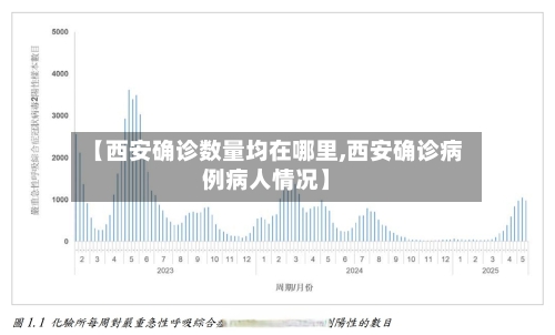 【西安确诊数量均在哪里,西安确诊病例病人情况】