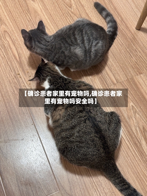 【确诊患者家里有宠物吗,确诊患者家里有宠物吗安全吗】