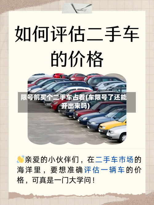 限号前买个二手车占着(车限号了还能开出来吗)
